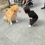 ANDANTE-ddp 1F 29 1 档口微信二维码及货源实拍