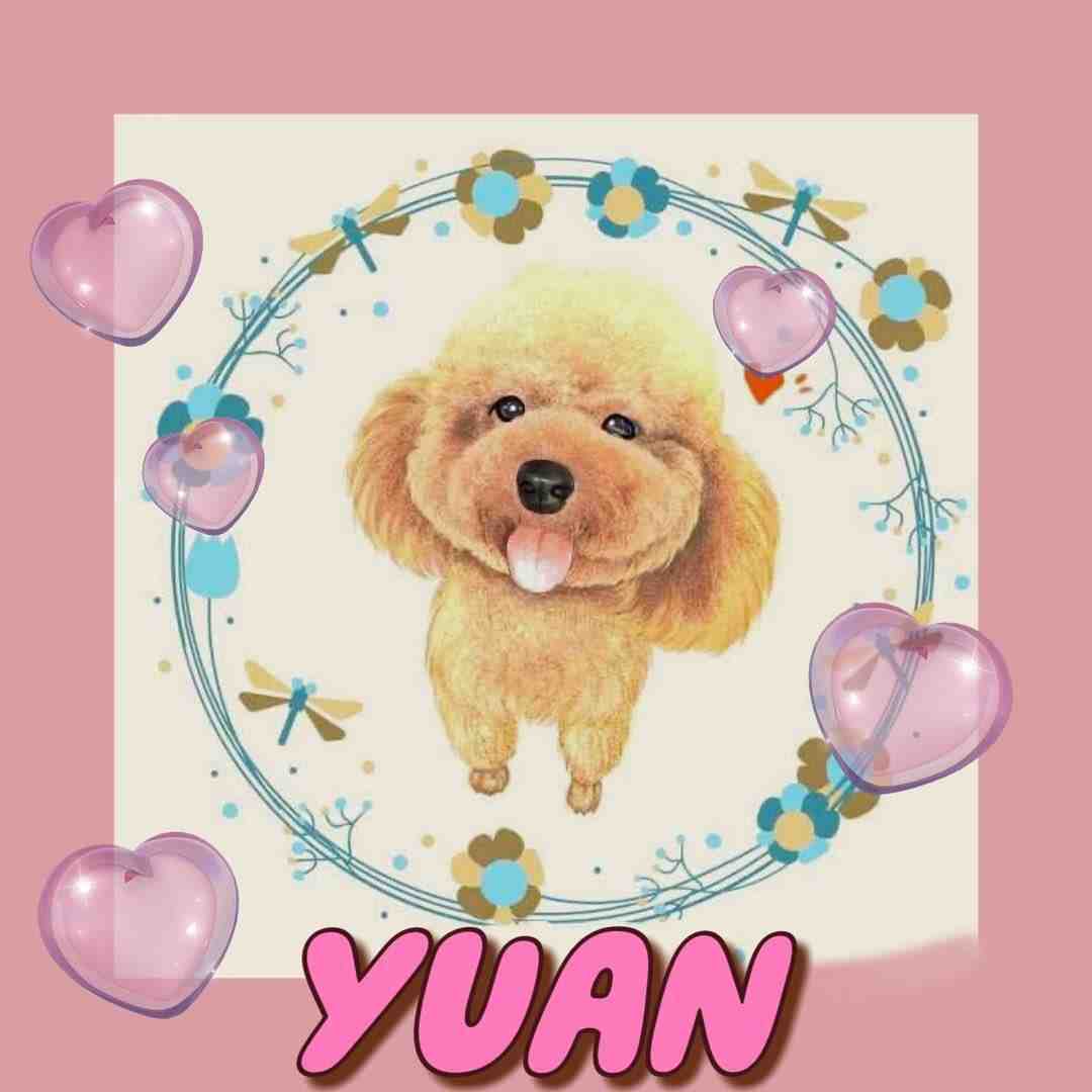 YUAN-金马3楼ZC035