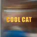 cool cat-Theot 3F A-13