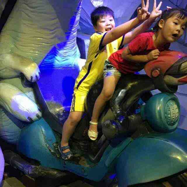 妃子衣-新中国4FD120