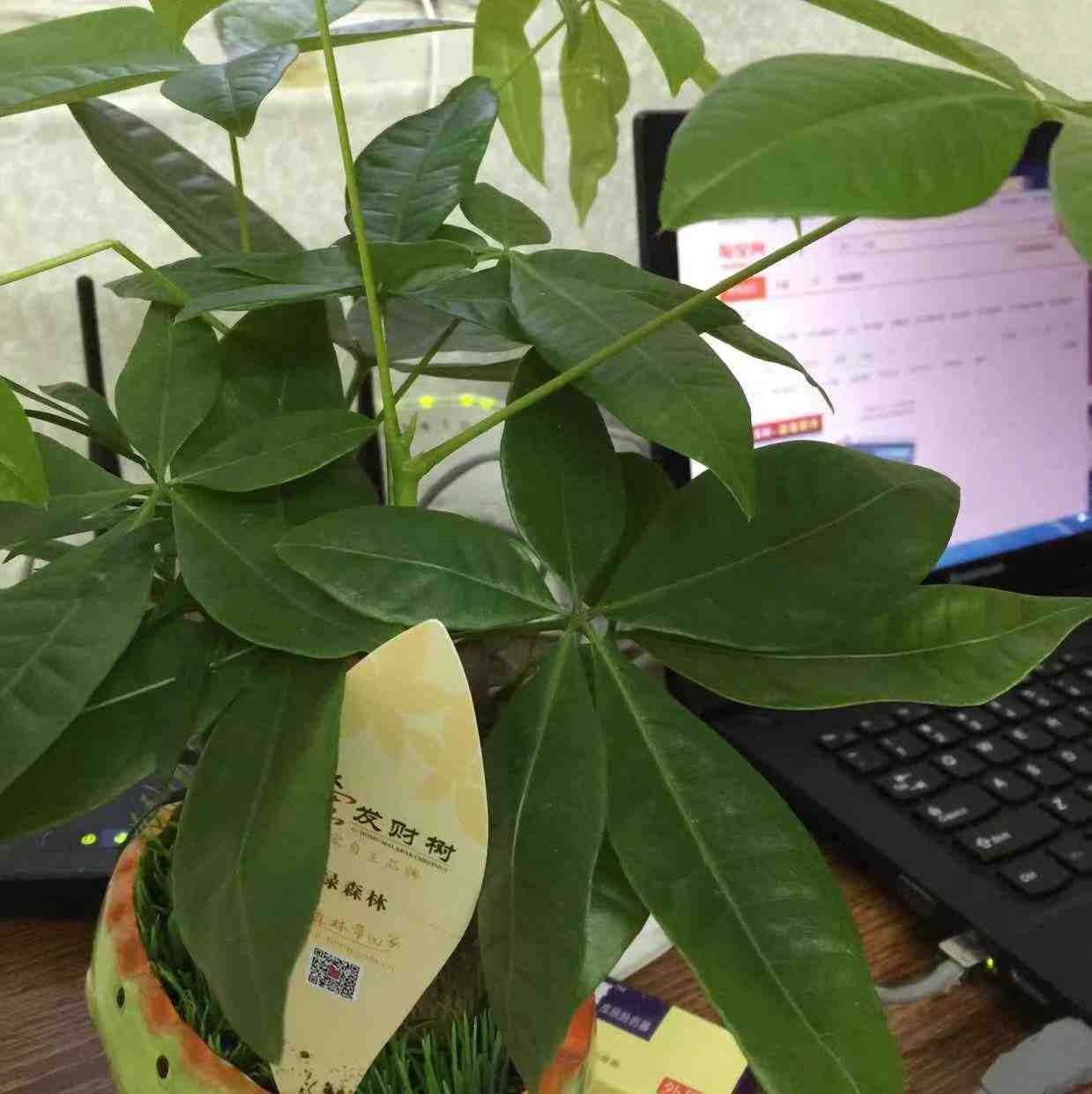 世纪红-金马2楼B79 1 档口微信二维码及货源实拍