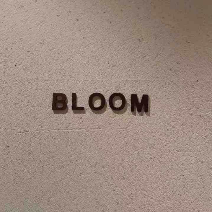 BLOOM-apm b133