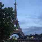 D-AMBER-DOTB1-D12 Theot wholesale vendor