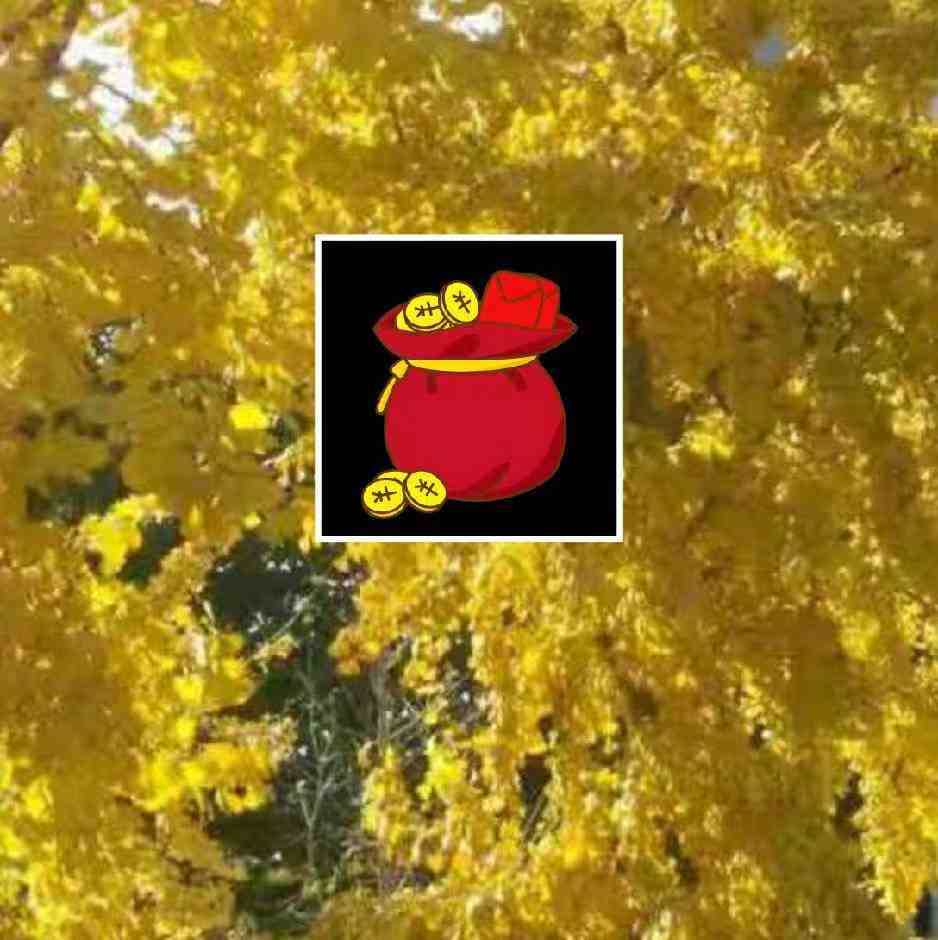 紫翔-南城七号通道特20 南城 档口微信二维码及货源实拍