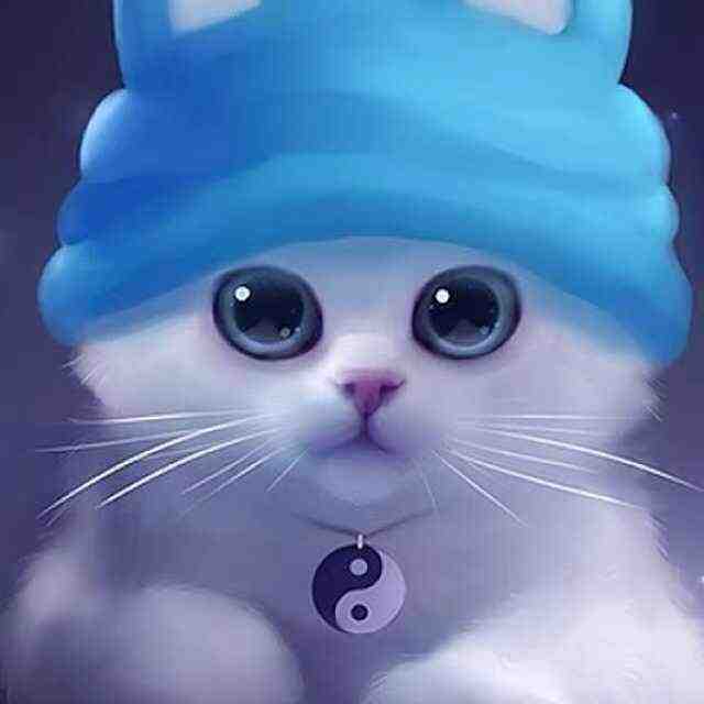 鑫雨-南城一楼C236