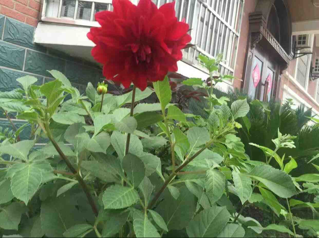 一帆女裤-南城一楼C237