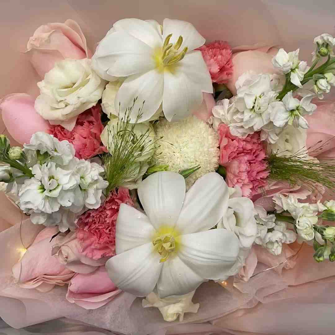 丹妮-南城一楼C226