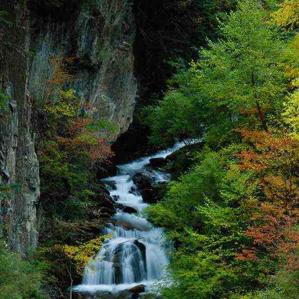 招财猫-南城一楼C212