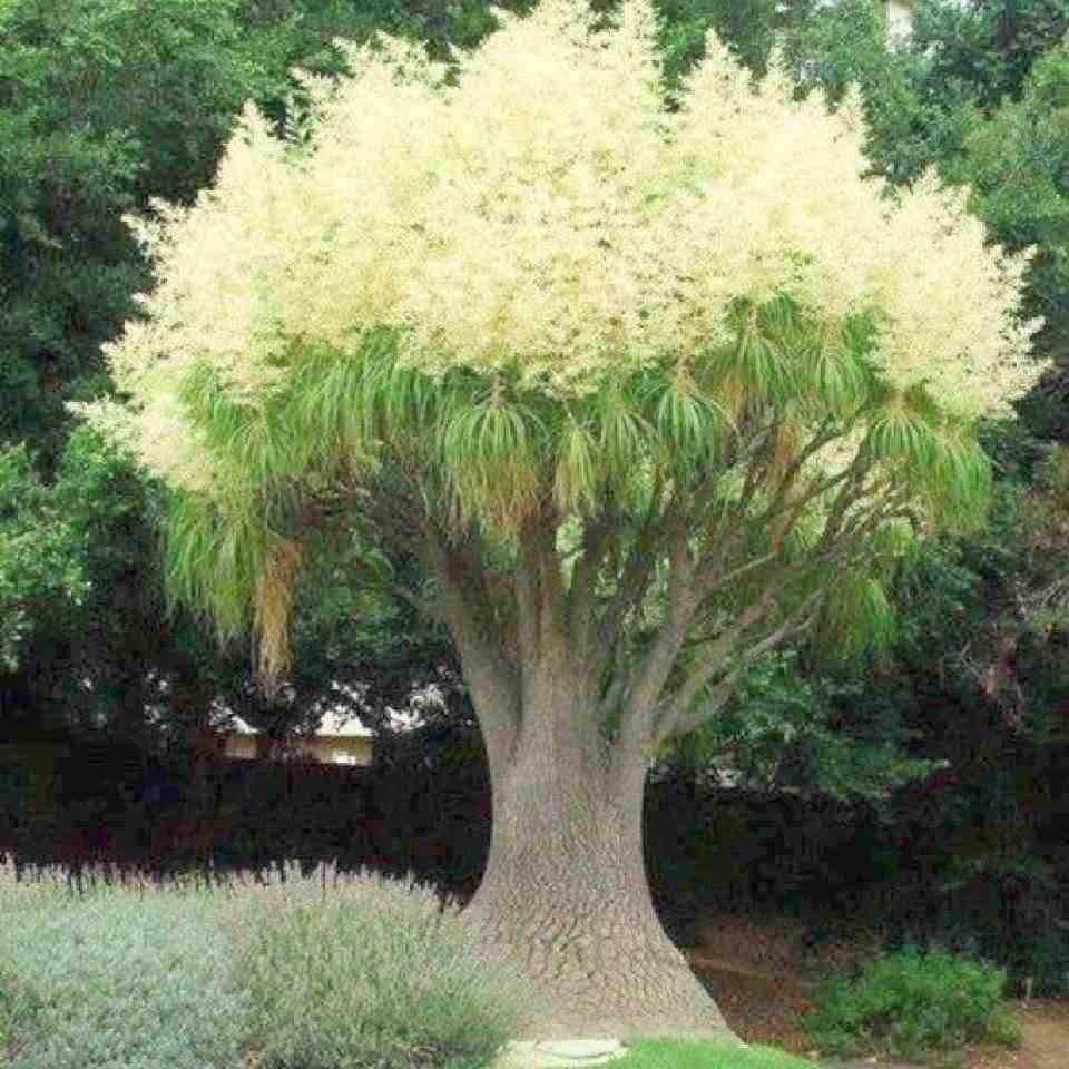 俏佳人-南城一楼C206