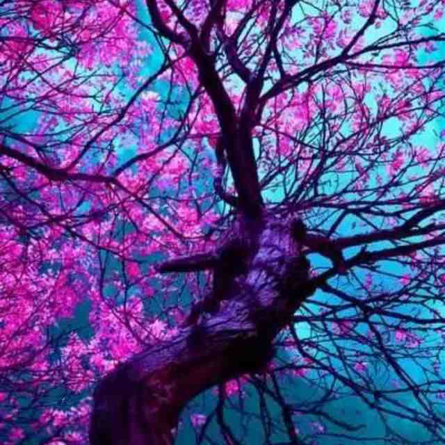 衣佳人女裤-南城1楼149