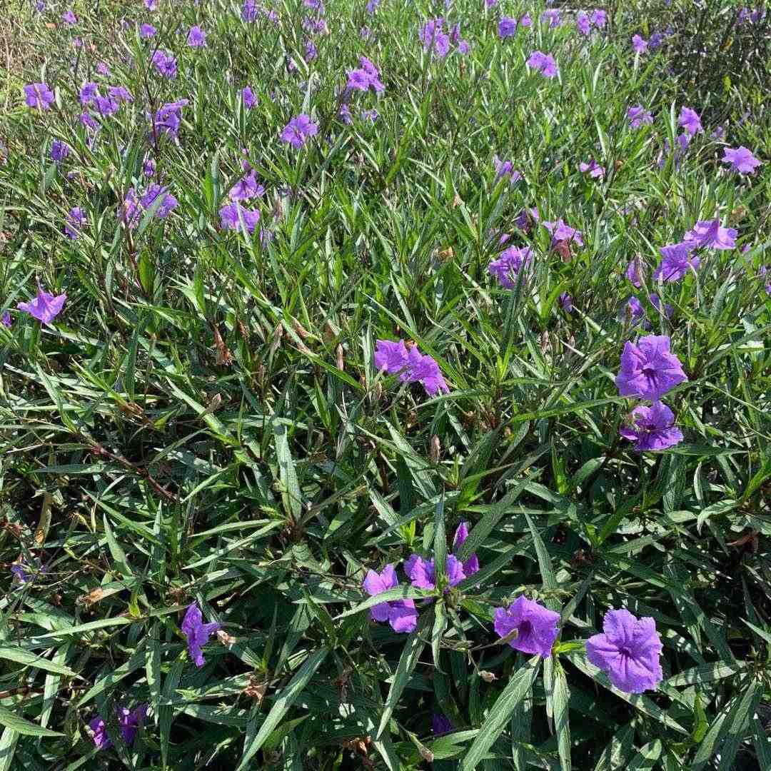 亦渲服饰-万佳2楼C2094