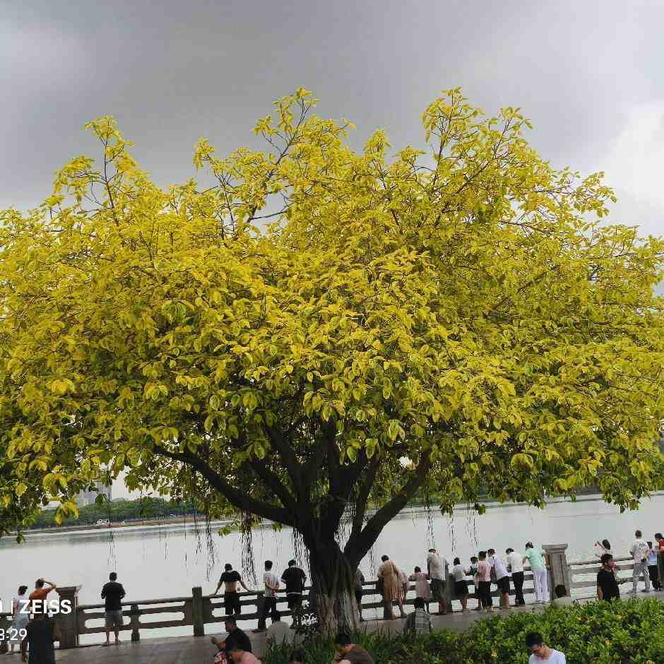 唯依裤业-南城1楼特27