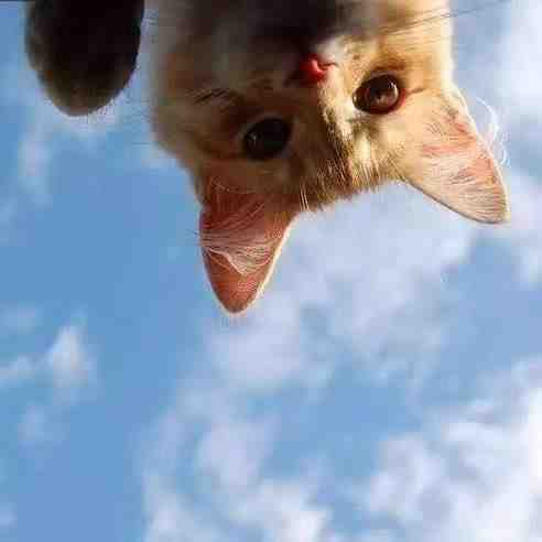 LIPA-新中国1楼1街80 十三行服装批发市场 档口微信二维码及货源实拍 LIPA-新中国1楼1街80 十三行服装批发市场 档口微信二维码及货源实拍