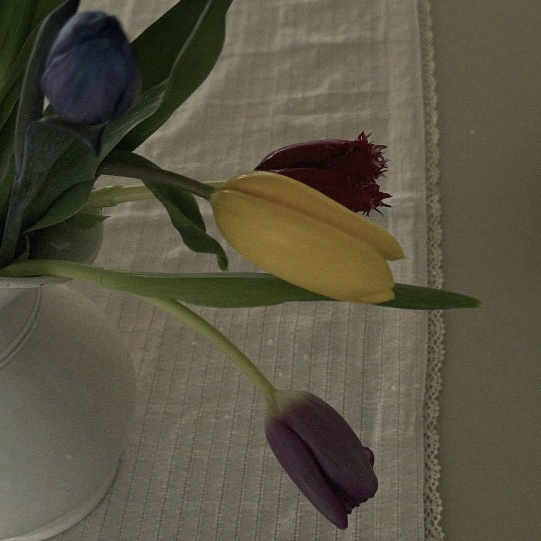 花生家–南城5F136档