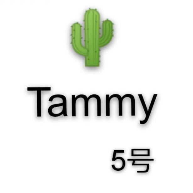 泰蜜TAMMY--南城3楼26 南城 档口微信二维码及货源实拍