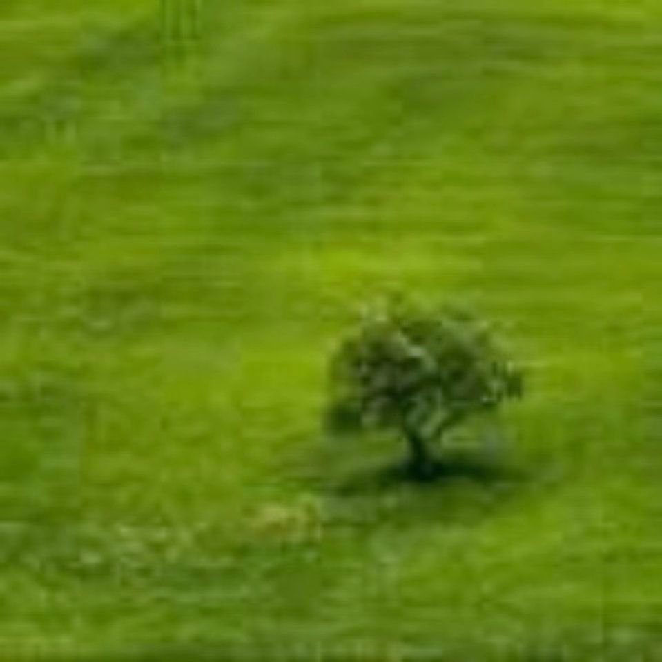 迅真梦裤--南城1楼B149 南城 档口微信二维码及货源实拍