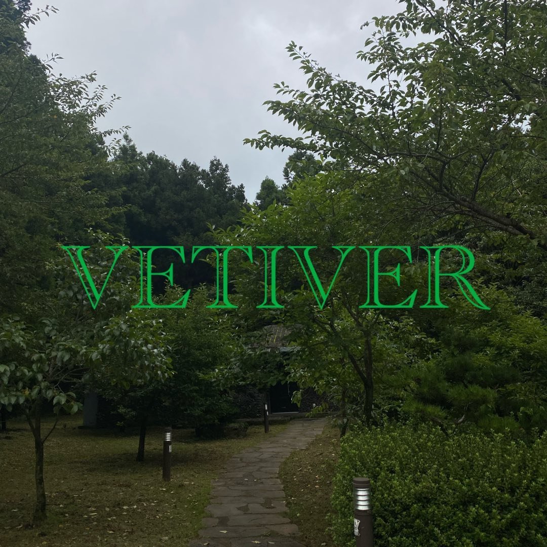VETIVER-Apmplace 6F 12