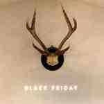 black friday-apm1f18