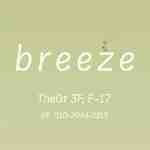 breeze-apm3f17