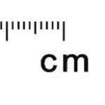 CM-APM351 apm 档口微信二维码及货源实拍