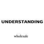 understanding-apm b124