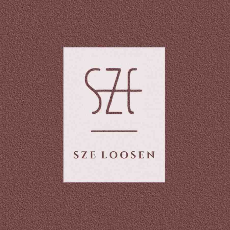 SZE–新中国A601档