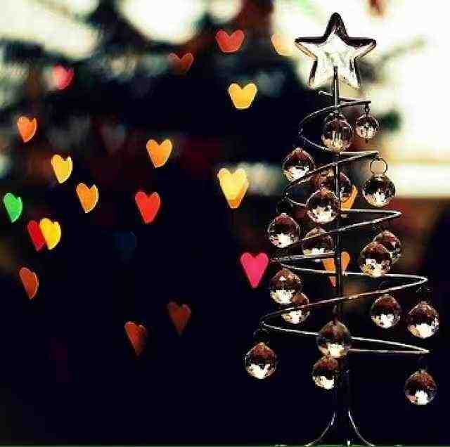 双飞羊-杭州街247