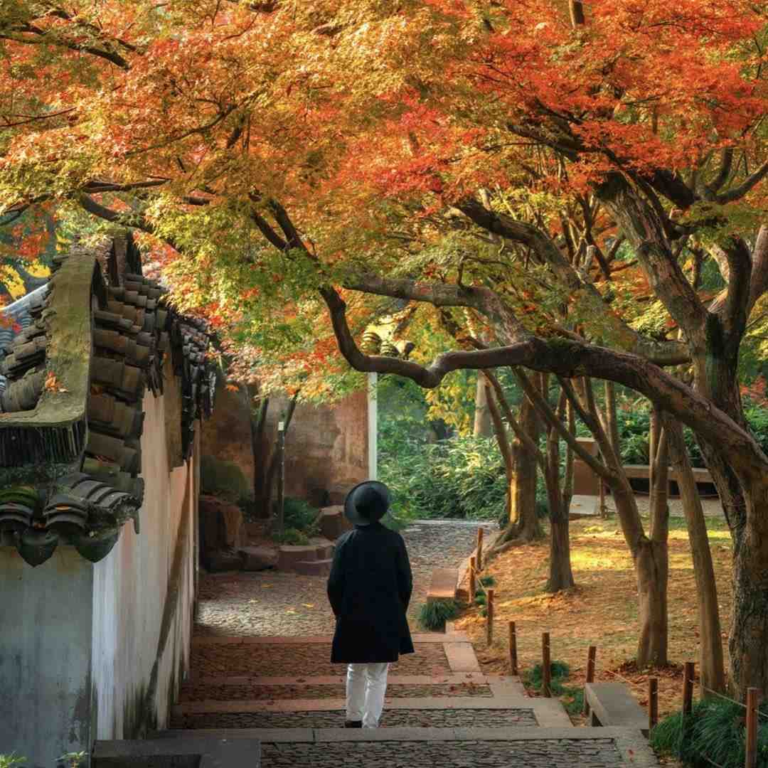 珊慕绒服饰 1 档口微信二维码及货源实拍