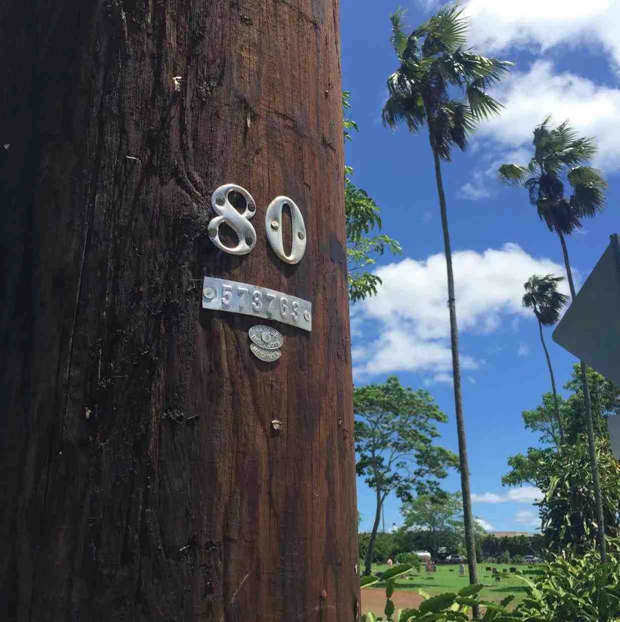 GREY MARKET-APM125 apm 档口微信二维码及货源实拍