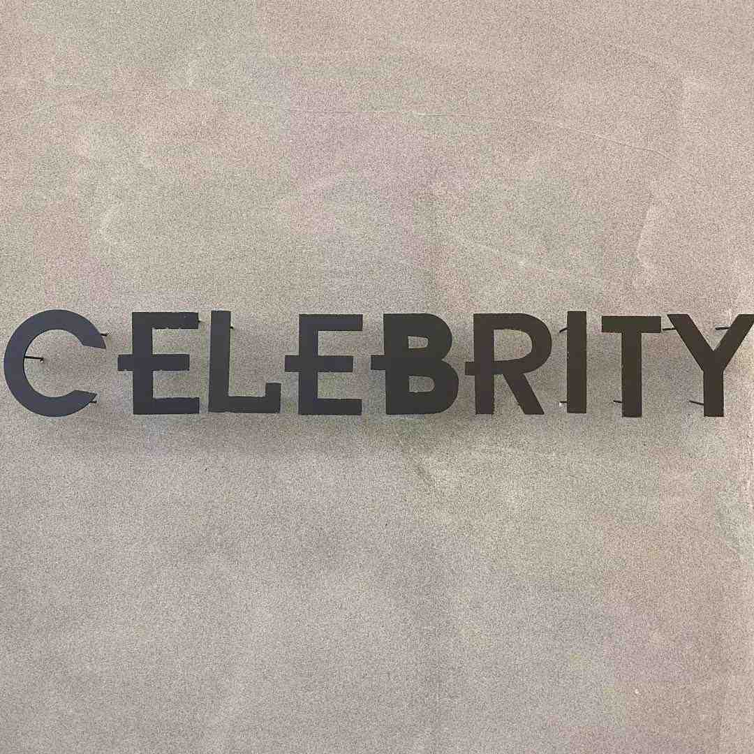 CELEBRITY-APM241