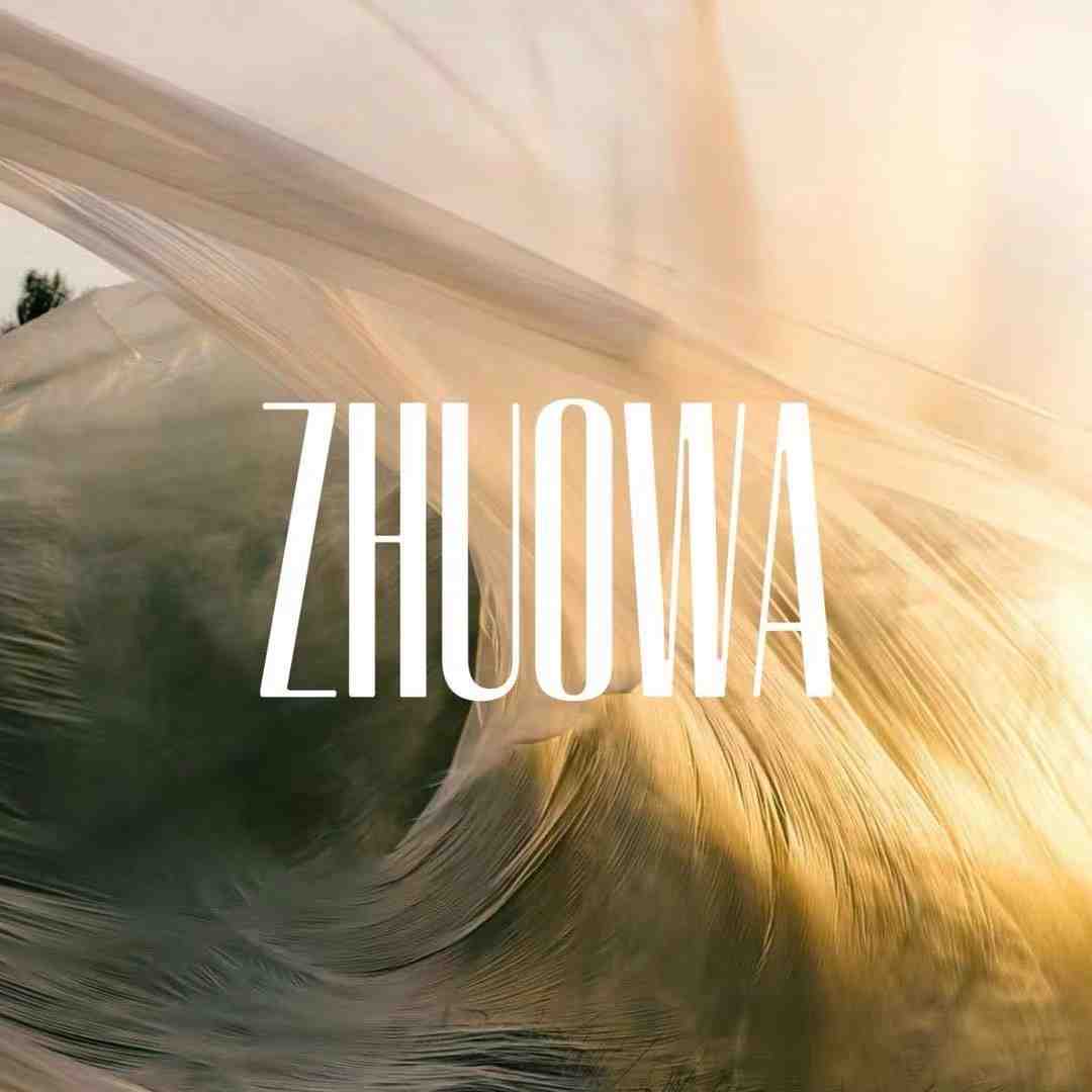 ZHUOWA卓娃-C613/B611