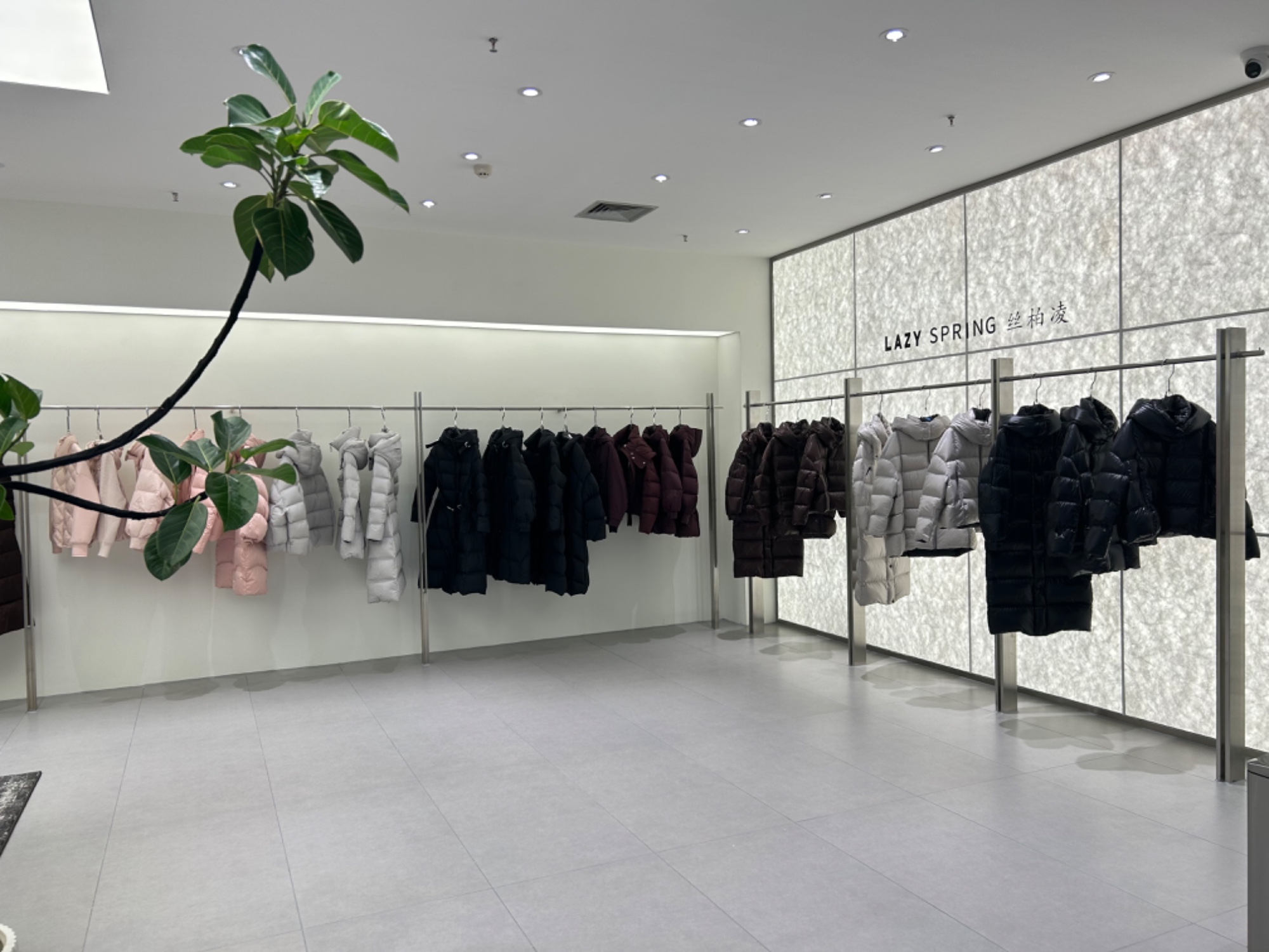 LAZY SPRING丝柏凌