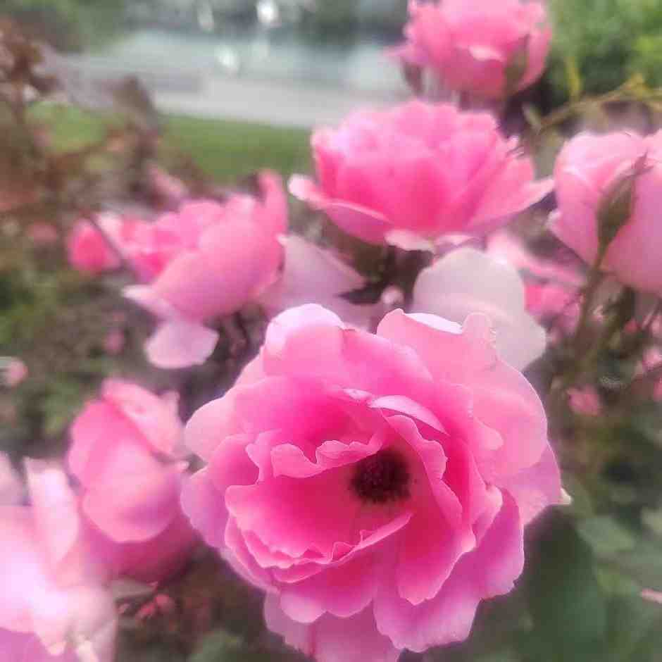 简依新中式-105栋A123A 南油原创设计 档口微信二维码及货源实拍 简依新中式-105栋A123A 南油原创设计 档口微信二维码及货源实拍