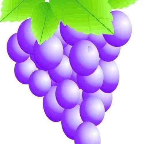 葡萄树-万佳2楼13巷3-5档