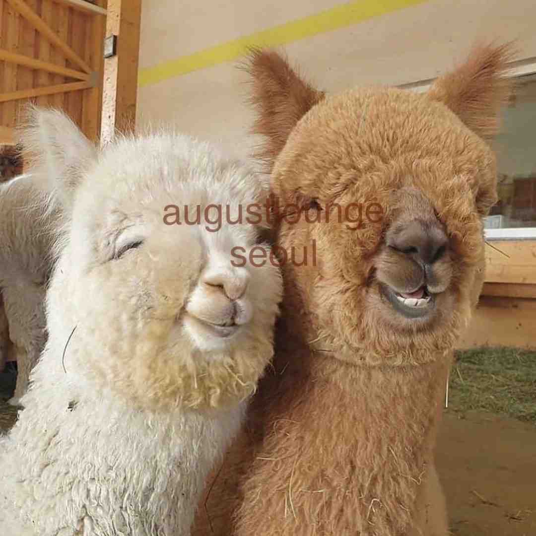 August lounge-ot4i08 Theot wholesale vendor