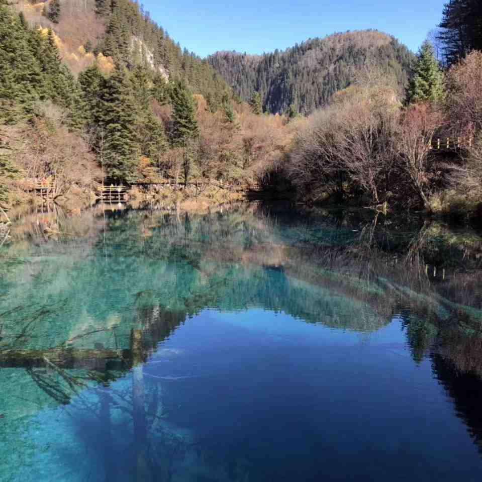 ZQ芷晴zhiqing日系-金马4楼A410档