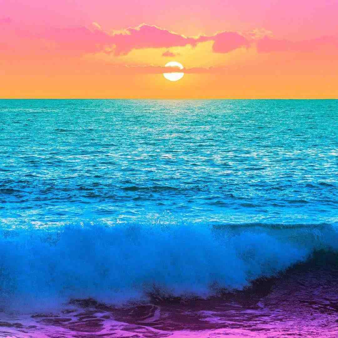 墨袖（小香风）-柯桥金徕旺2楼