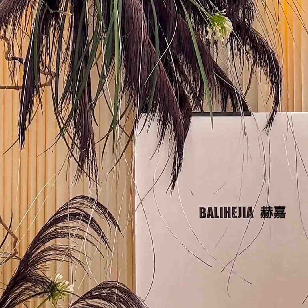 BALIHEJIA赫嘉-C485