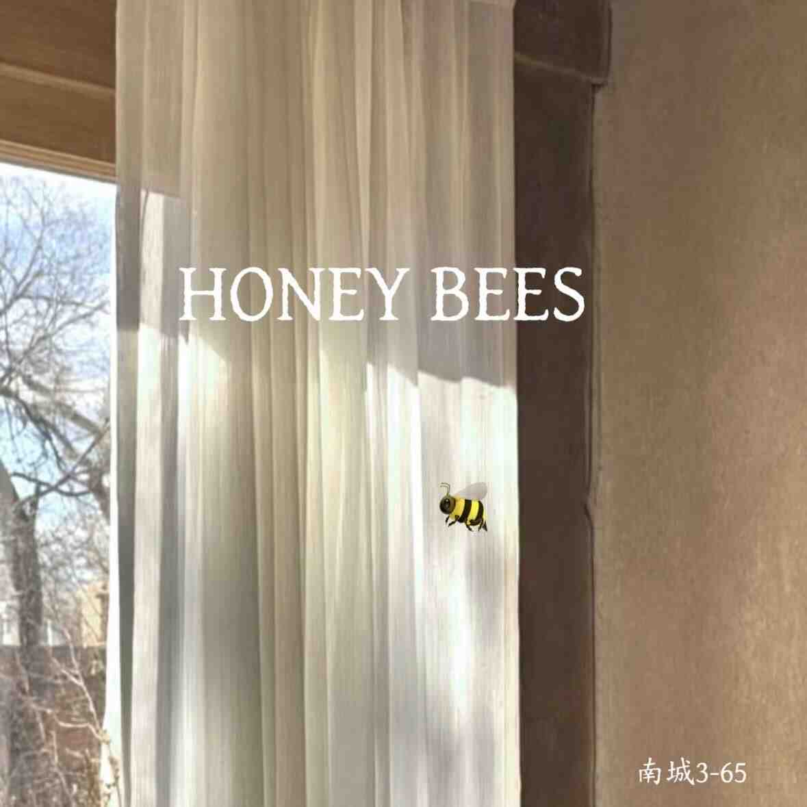 HONEY BEES蜜蜂家 -南城3F65