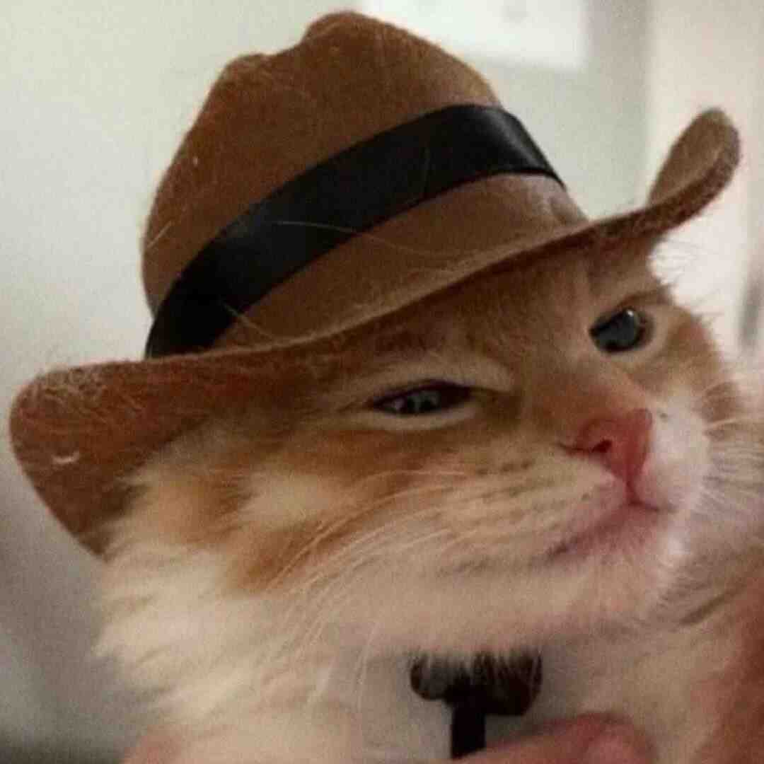 niuhenduo/NHD牛很忙-A557