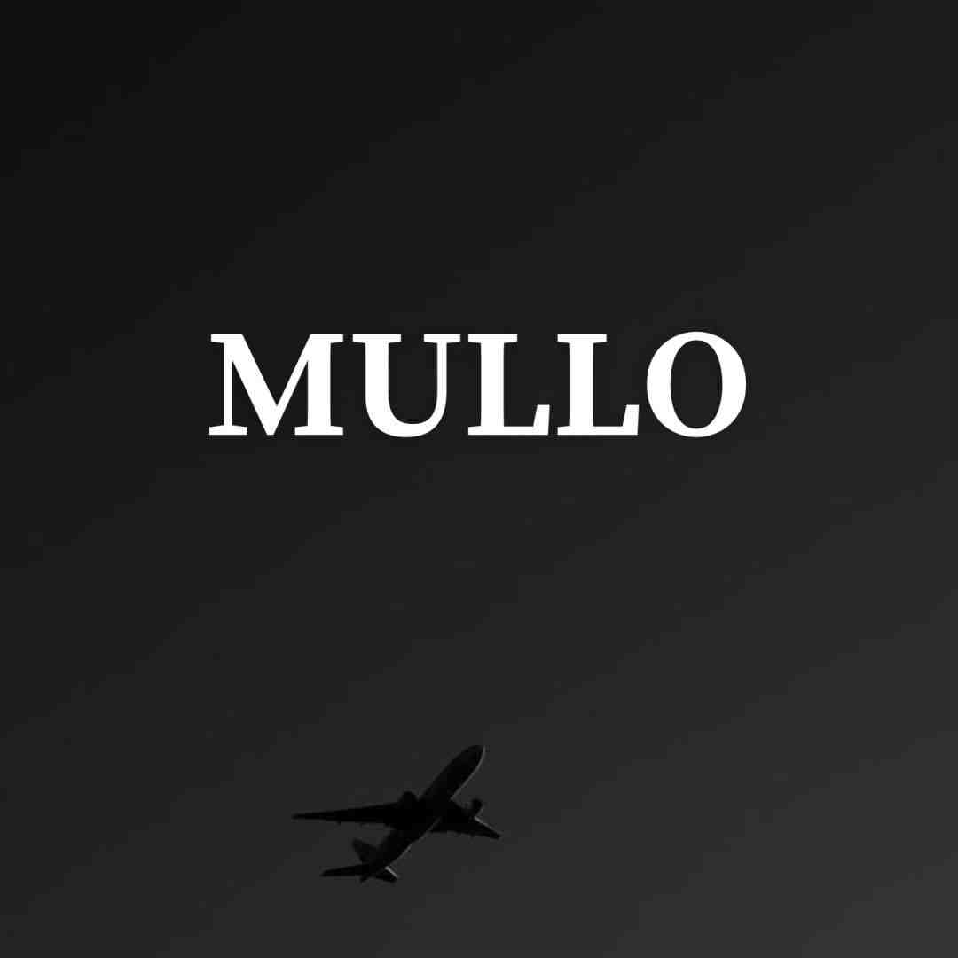 MULLO-NUZZON 5F 509