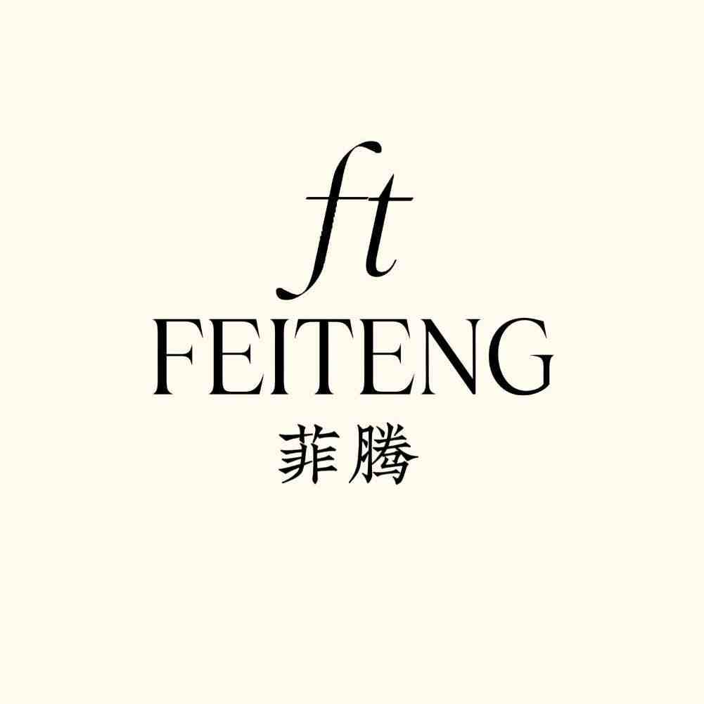 FEITNG/飞腾FT-南城3F加20档