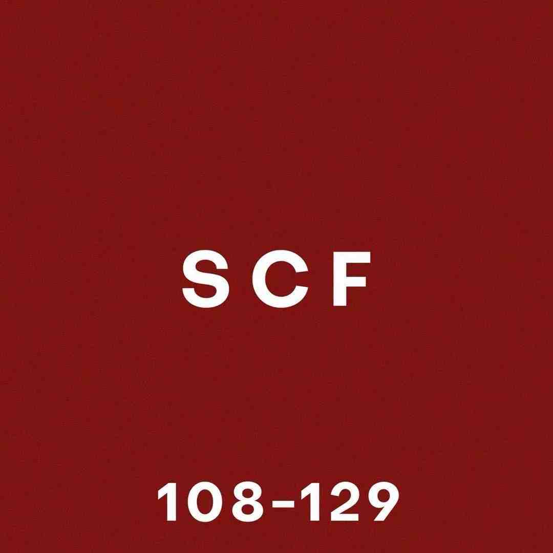 SCF-108栋129