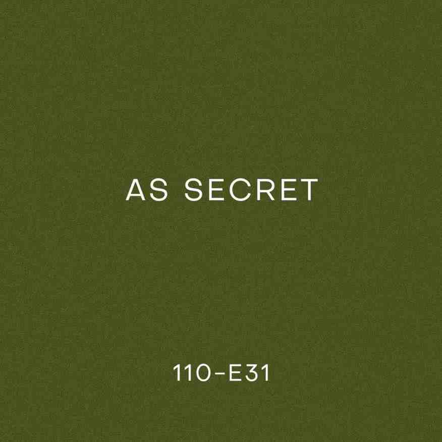 AS SECRET-110栋E31