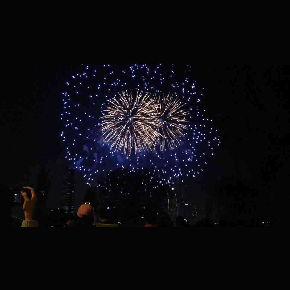 BunnyFlower-THEOT 4f – G7