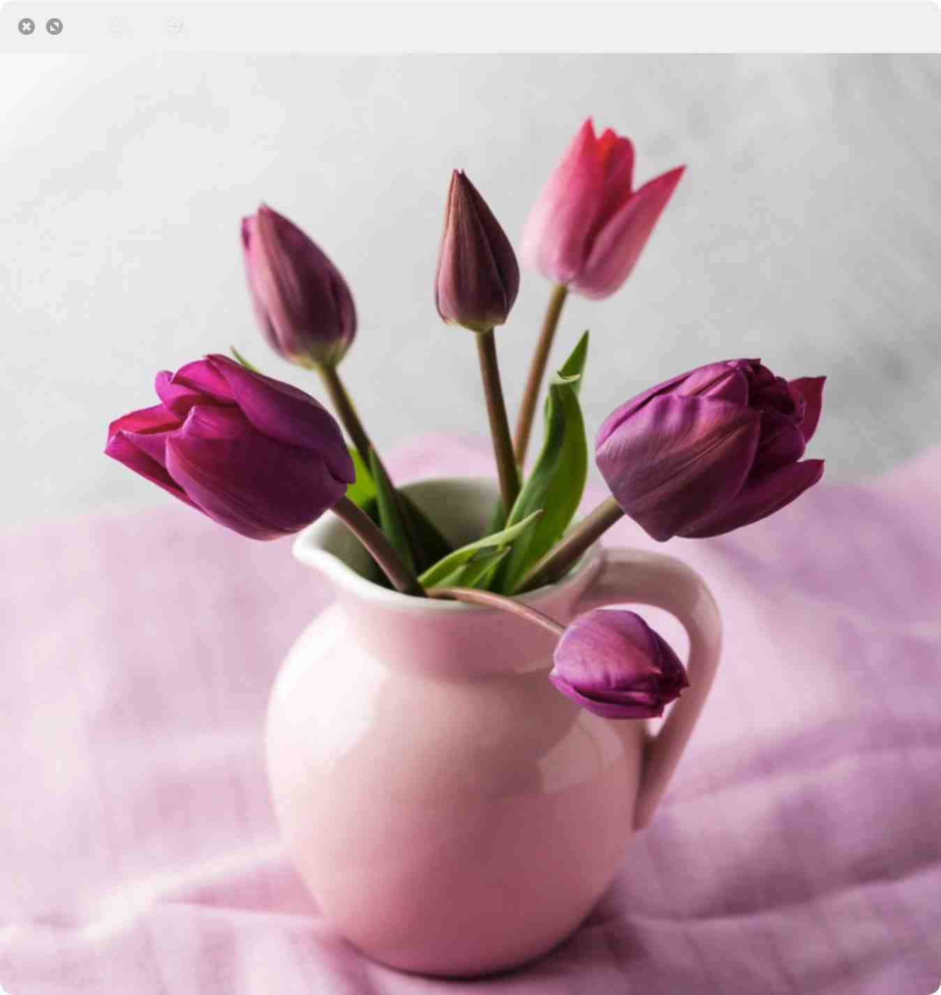 依雅真美-金马2楼213