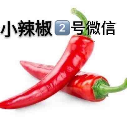 小辣椒-金马4F A408