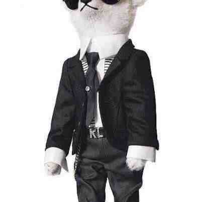 TT时尚 南油原创设计 档口微信二维码及货源实拍