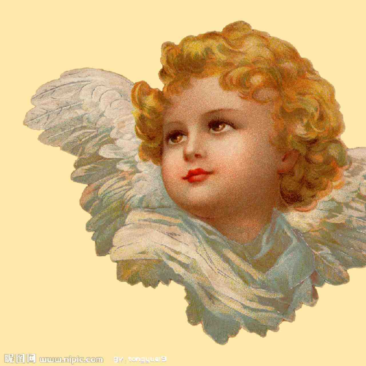 以利亚-111栋B013 南油原创设计 档口微信二维码及货源实拍