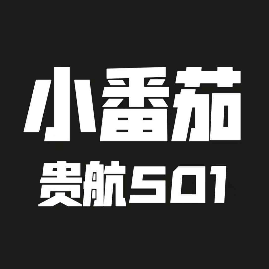小番茄 小众原创-贵航501
